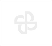 2024年金莎9001zz以诚为本电气温室气体排放核查报告